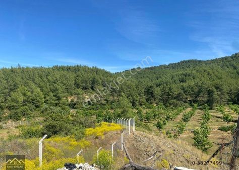 Eray Emlaktan Köyceğiz Kavakarasında 4 Dönüm Tek Tapu İçerisinde 3 Adet Evinle Birlikte Satılık Tarl