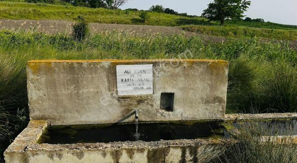 Doğayla İç İçe Fırsat Yer