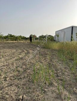 Yola Cephe Elektirik Başında