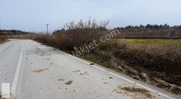 Çanakkale Bayramiç Pınarbaşı Köyü Ana Asfalt Cepheli 3350m2tarla