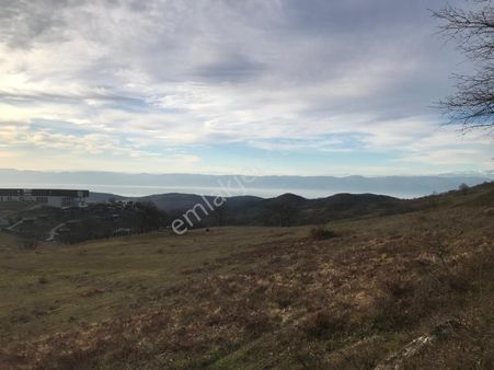 Kocaeli Karamürsel Çamdibi Mahallesi 12813 M2 Satılık Tarla