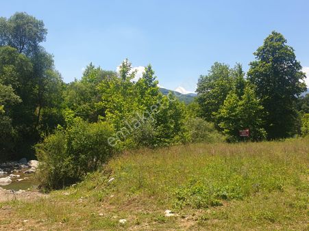 Asfalt İle Dere Kenarı Kaçırılmayacak Fırsat Bahçe