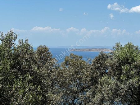 Balıkesir Bandırma Edincik’te Güzel Manzaralı Satılık Zeytinlik