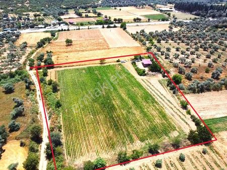 Tire Ye 5 Km Mesafede Satılık Harika Bir Yer