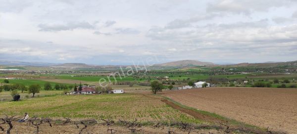 Yukarıdemirtaş 2adet Vıllası Ve Artaziyeni Dikıiı Agacları Süper Sehir Manzaralı Kelepir Tarla