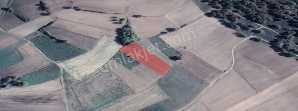 Edirne Uzunköprü Kurtbey'de 270m2 Yatırımlık Kupon Arsa