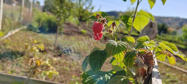 Fiyat Düştü Elmadağ Kuşçu Ali Küme Evleri De Satılık 3228 Metre Kare Arsa