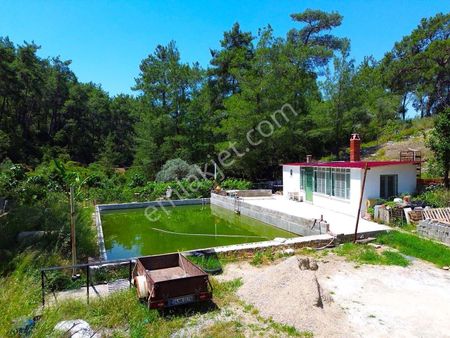 Milas Kalınağıl Doğayla İç İçe 17.102 M² Satılık Çiftlik