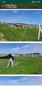 Çatalc Ovayenice De Satılık 250 Metre Arsa Çap Ve Muvafakatlarına Mevcuttur Etrafı Tell İle Çevrilmi