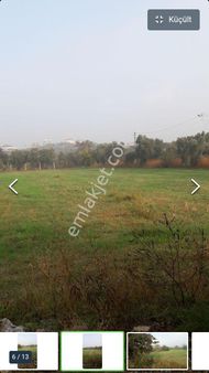 Kocaoğlu Emlak'dan Urla Kalabak'da Yatırıma Uygun Satılık Tarla