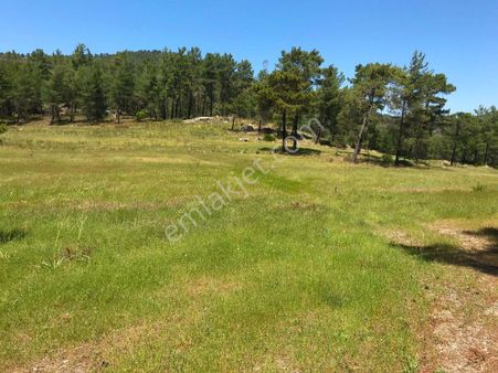 Dalaman Karacaağaç'ta Satılık 2245 M2 Satılık Tarla