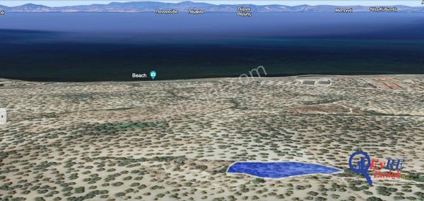 Evre Emlaktan Ayvalıkta Deniz Manzaralı Satılık Zeytinlik