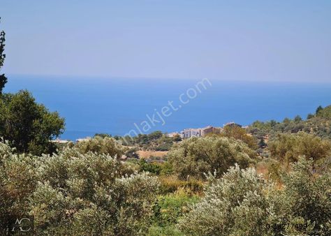 Full Manzara-yarısı Imarlı-(10/20 Imar) Yatırımlık Kacırılmayacak 12 Dönüm Arsa ( Takasa Açık )