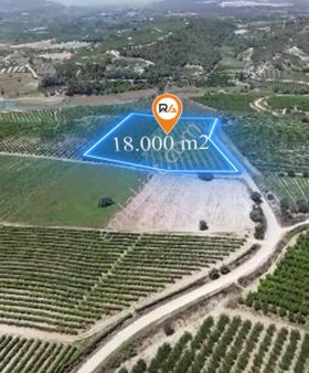 Ra Gayrimenkul Akçakocalı Mevkii Satılık Limon Ve Kayısı Bahçesi