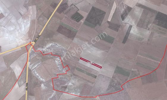 Danışment Mahallesin’de 3 Dönüm Satılık Tarla