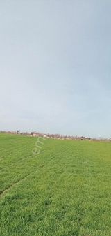 Mahalle Dibi Mükemmel Yer