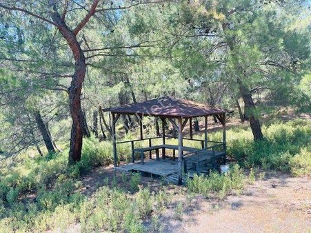 117- Ulaşım Sorunu Olmayan Asfalta Yakın Arazi