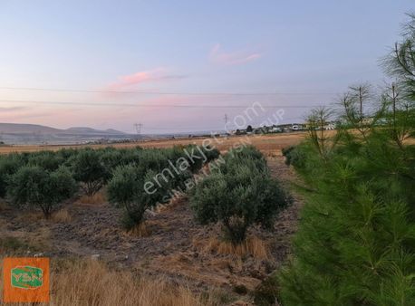 Yasin Batan'dan Pazarlığa Kapalıdır İlk Gelen Alır!