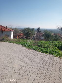 Manisa Saruhanlı Sarıçam Mah.satılık Villa İmarlı Arsa