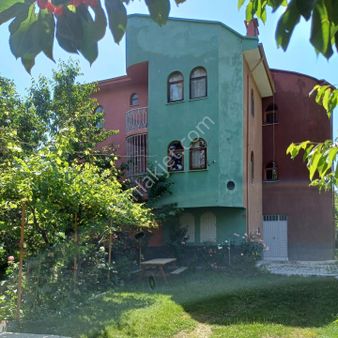 Tosya Emlak Satılık Bakımlı Bağ