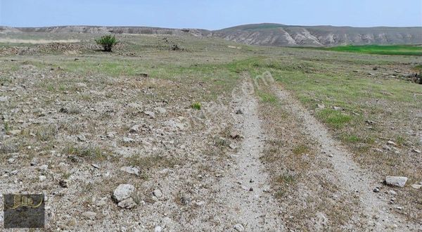 Ankara Güdül Çağa Takas Açık Mahallesi 4820 M2 Tek Tapu