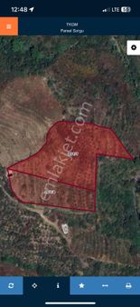 Alanya Şıhlar Da Sahibinden 11460 M Sahibinden Tarla