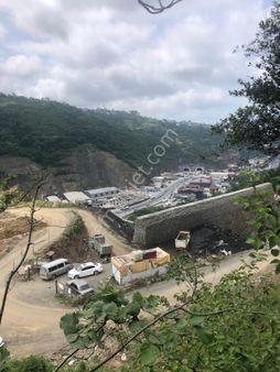 Trabzon Bulak Mahallesi Satılık 9.667 M2 Fındık Bahçesi