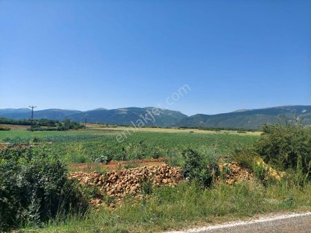 Bizim Emlaktan Ilıcak Doğanhisar Yoluna Sıfır