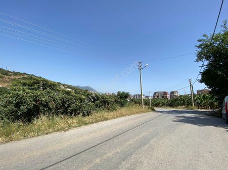Alanya Cikcilli'de Satılık İmarlı 560m2 Arsa (takasa Açık)