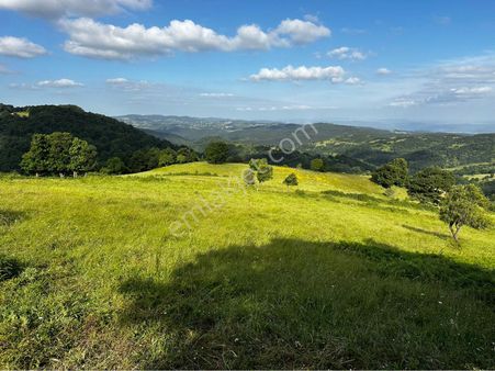 Balıkesir Gönen Fındıklı’da Köye Yakın Satılık Tarla