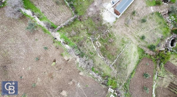 Cb Uzman Gayrimenkul' Den Söğüt Bahçelide Yatırım Fırsatı