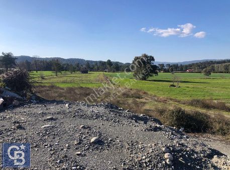 Ula Karabörtlen D 400 Karayolun Tam Temaslı Marjinal Tarım Arazi