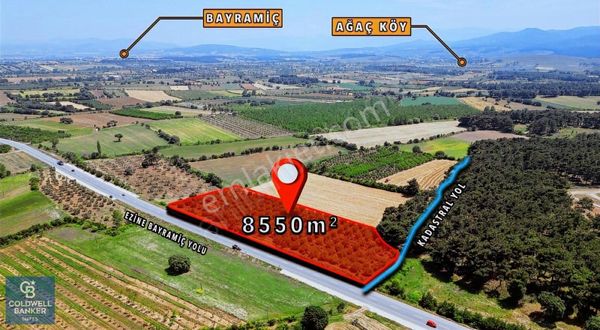 Çanakkale Ezine - Bayramiç Yolu Üzerinde 8,550 M²﻿ Satılık Arazi