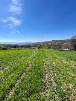 Çanakkale Çan Maltepe Satılık Tarla