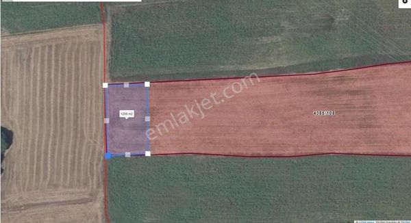 Büçüksinekli'de Bu M2de Bu Fiyat Kaçmaz 1200 M2