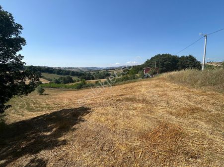 Kocaeli Karamürsel Çamdibi Mahallesi Satılık 8598 M2 Tarla