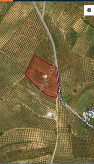 Ena Group Bursa Mudanya Mürsel'de Yola Cephe 10200 M2 Satılık Tarla