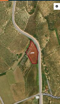 Ena Group Bursa Mudanya Mürsel'de 5000 M2 Asfalta Cephe Satılık Arazi