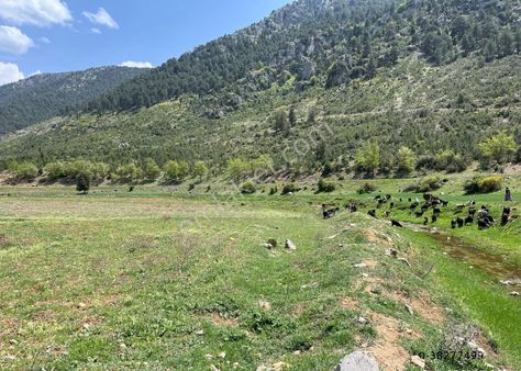 Bucak Isparta Ana Yoluna Cephesi 100 M 4.150 M2 Tarla