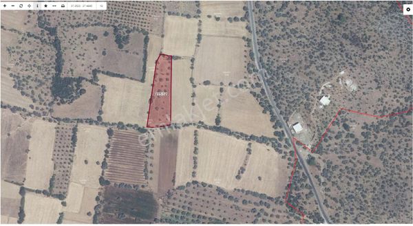 Muğla Milas Kazıklı Da Denize 2 Km Uzaklıkta 4275m2 Satılık Tarla
