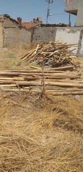 Manisa Salihli Satılık Çiftlik Yeri