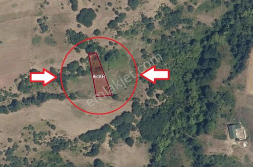 Kocaeli Karamürsel Kızderbent Mahallesi Satılık 1447 M2 Tarla