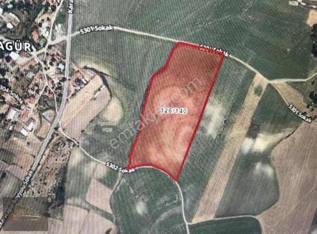 Malkara Karacagür Satılık Köy Dibi Tarla 56200 M2