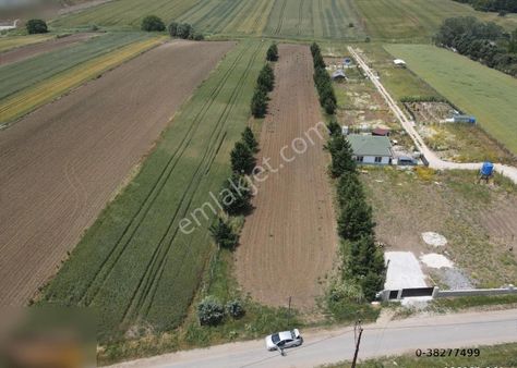 İstanbul Çatalca İzzettin Satılık 5 Dönüm Tek Tapu Arsa Tarla