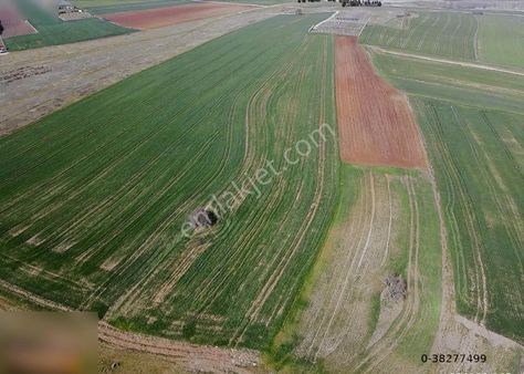 İstanbul Çatalca İzzettin Tek Tapu 11 Dönüm
