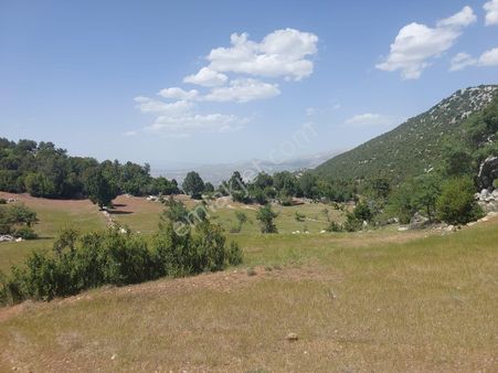 Burdur Çavdır Anbarcık Köyünde Çiftlik Yapımına Uygun 26.278m2 Satılık Tarla