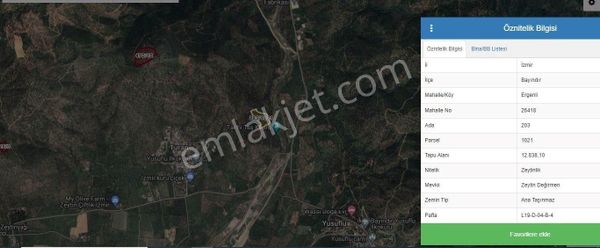 Bayındır Ergenli Mah.'de Satılık Zeytinlik