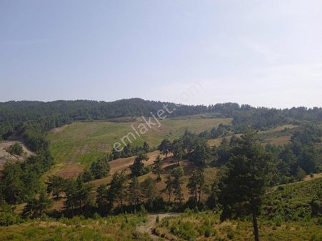 Manisa Ahmetli Bahçecik Mahallesi’nde Satılık 85.600 M2 Tarla