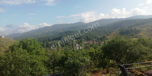 Aydın Nazilli Aşagıyaka Köyünde Satılık Arsa