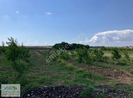 Klc'den Balıkesir Bandırma Aksakal Mahallesin'de Satılık Tarla